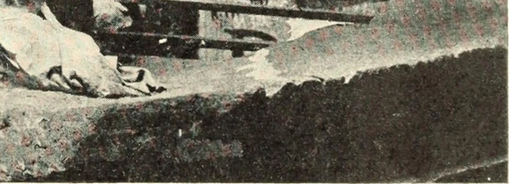 An illustration from Famous sculpture as seen and described by great writers, 1910, leaf 220