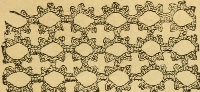 An illustration from Fancy braid and crochet book, 1885, leaf 9
