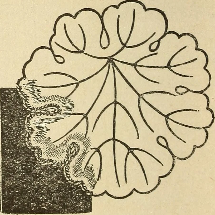 An illustration from Fancy work for pleasure and profit, 1905, leaf 100