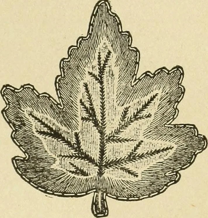 An illustration from Fancy work for pleasure and profit, 1905, leaf 101