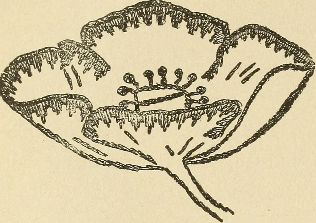 An illustration from Fancy work for pleasure and profit, 1905, leaf 108