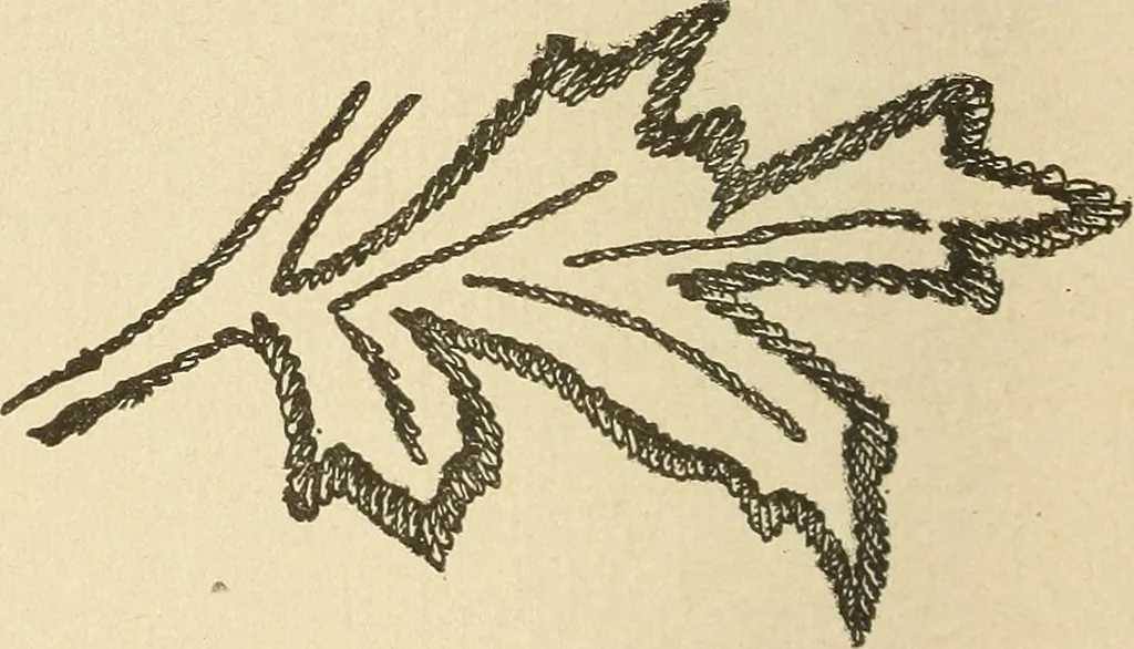 An illustration from Fancy work for pleasure and profit, 1905, leaf 108