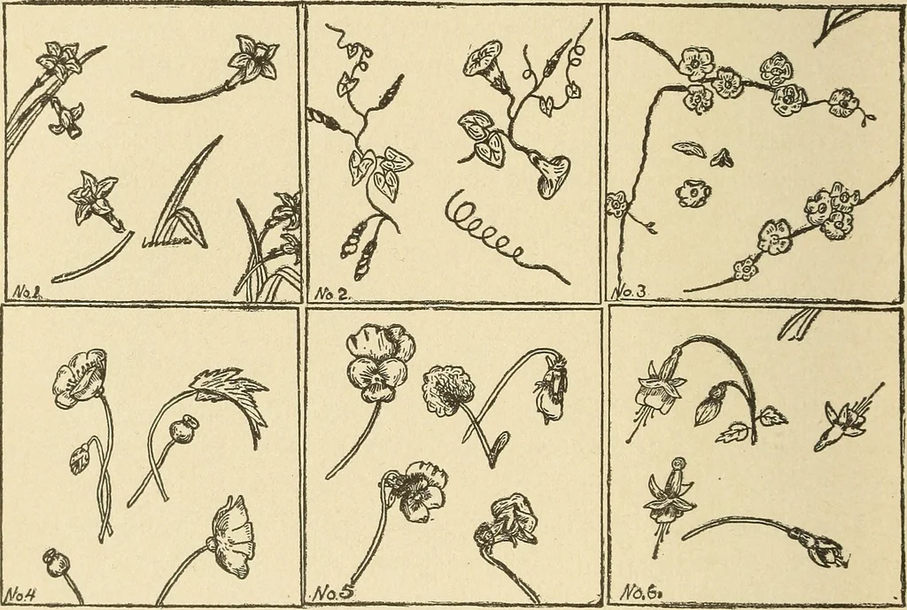 An illustration from Fancy work for pleasure and profit, 1905, leaf 116