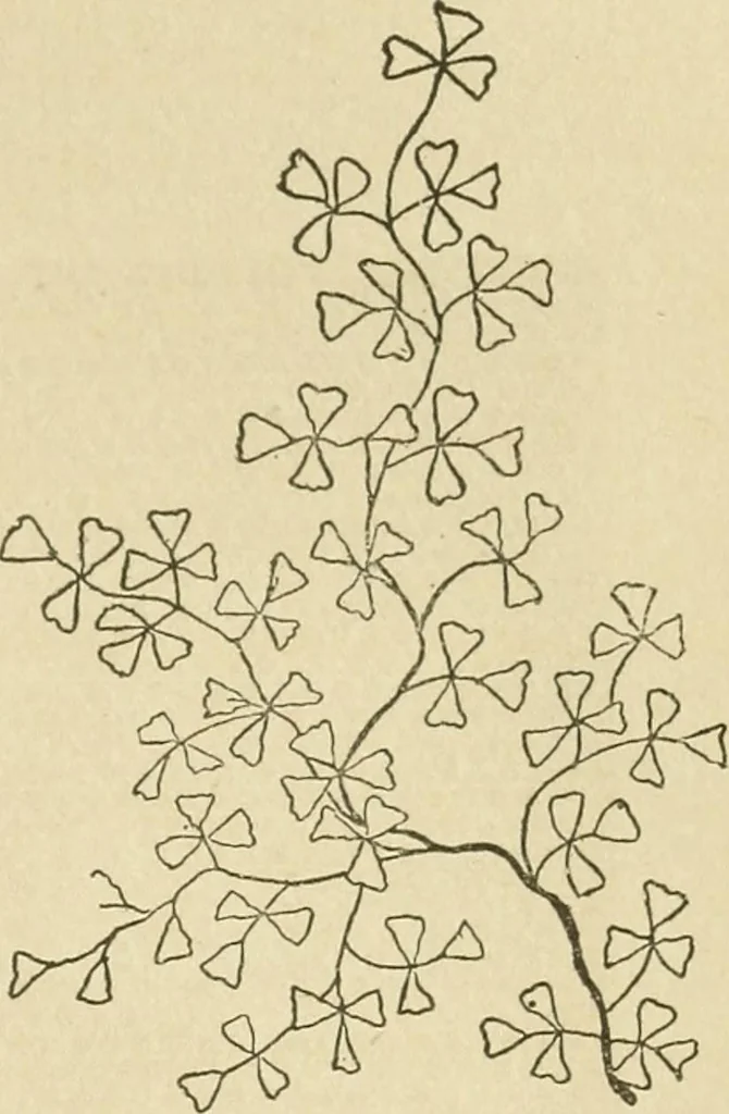 An illustration from Fancy work for pleasure and profit, 1905, leaf 133