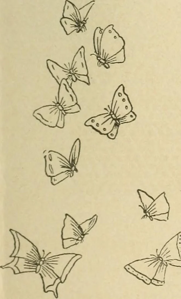An illustration from Fancy work for pleasure and profit, 1905, leaf 133
