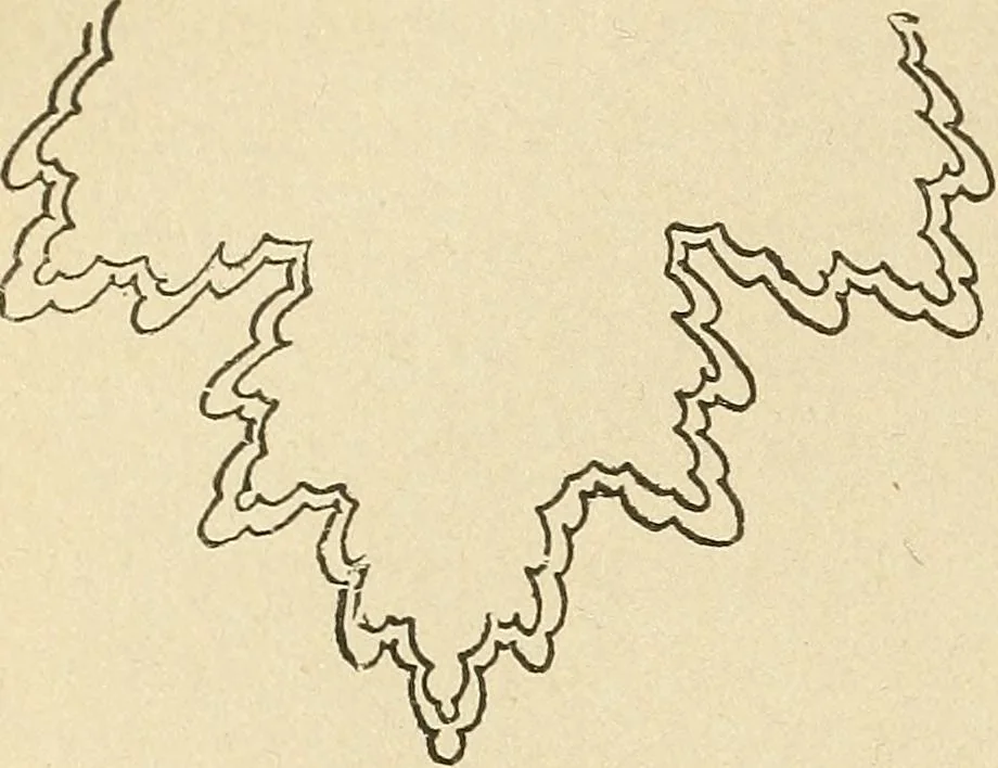 An illustration from Fancy work for pleasure and profit, 1905, leaf 136