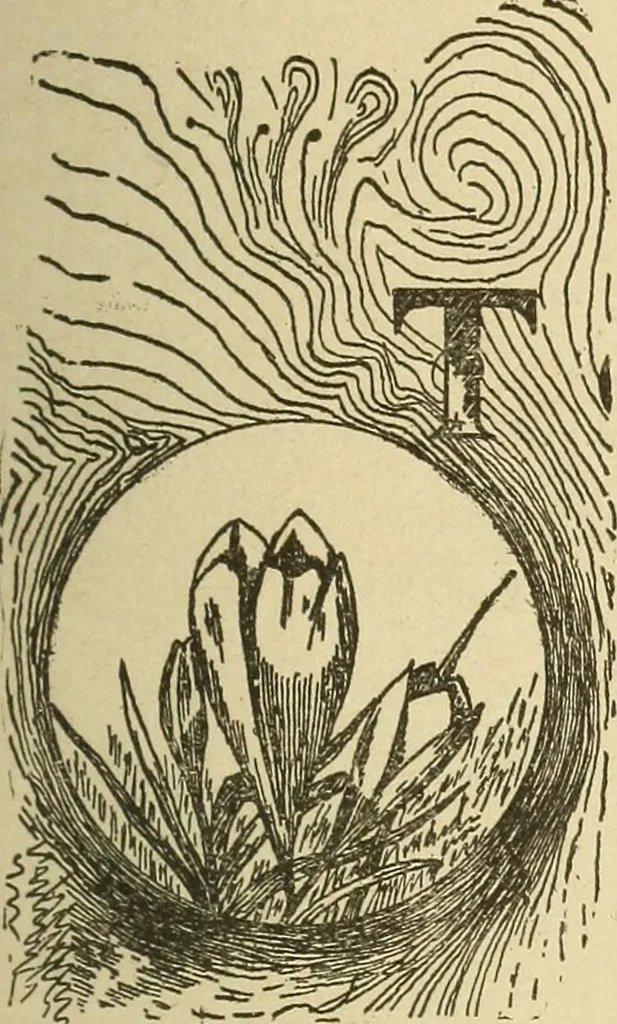 An illustration from Fancy work for pleasure and profit, 1905, leaf 139