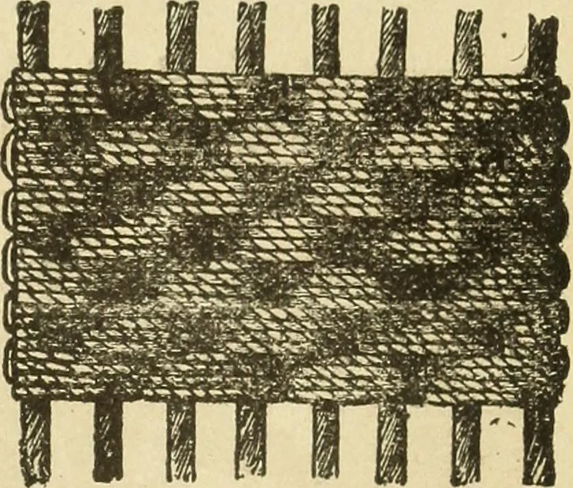 An illustration from Fancy work for pleasure and profit, 1905, leaf 143