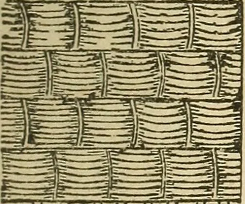 An illustration from Fancy work for pleasure and profit, 1905, leaf 143