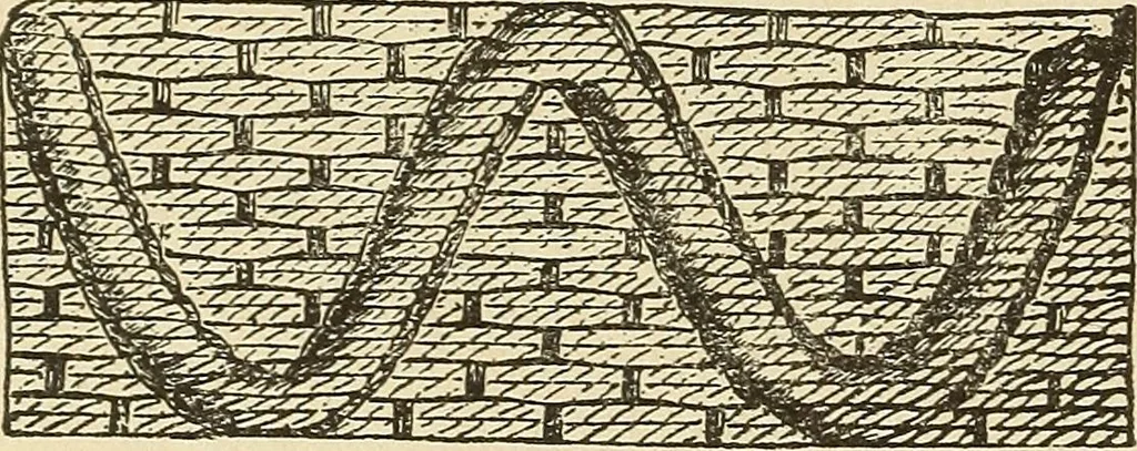 An illustration from Fancy work for pleasure and profit, 1905, leaf 144