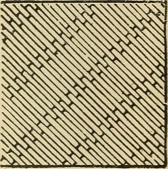 An illustration from Fancy work for pleasure and profit, 1905, leaf 144