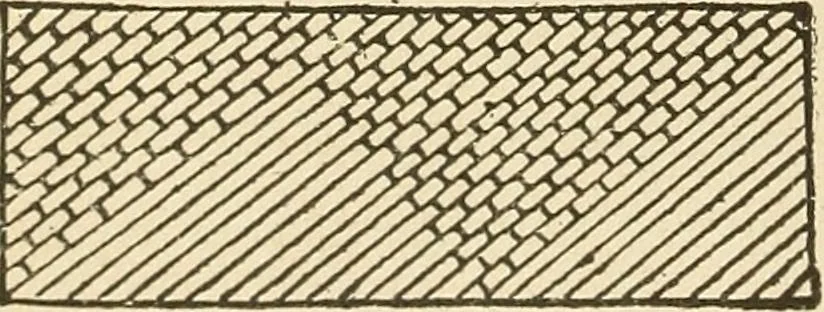 An illustration from Fancy work for pleasure and profit, 1905, leaf 144