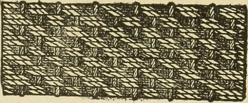 An illustration from Fancy work for pleasure and profit, 1905, leaf 145