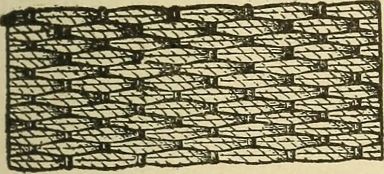 An illustration from Fancy work for pleasure and profit, 1905, leaf 145