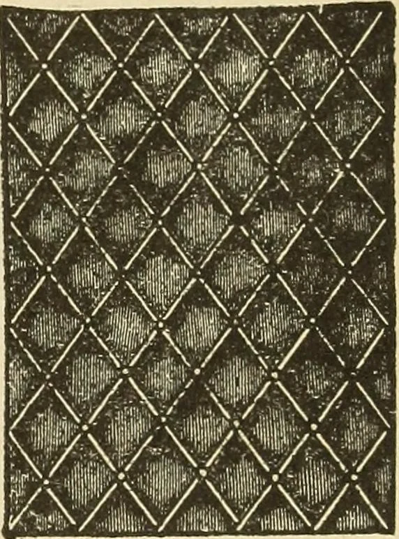 An illustration from Fancy work for pleasure and profit, 1905, leaf 145