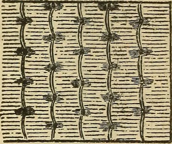 An illustration from Fancy work for pleasure and profit, 1905, leaf 146