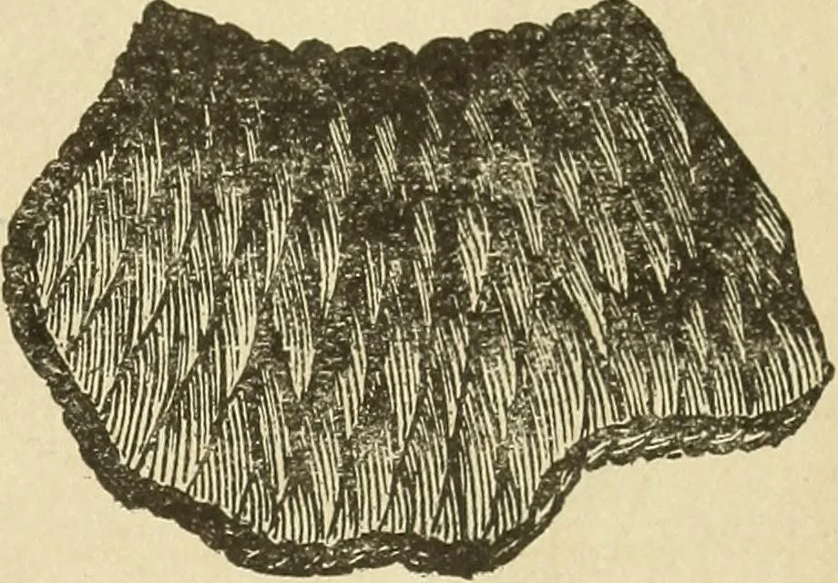 An illustration from Fancy work for pleasure and profit, 1905, leaf 149