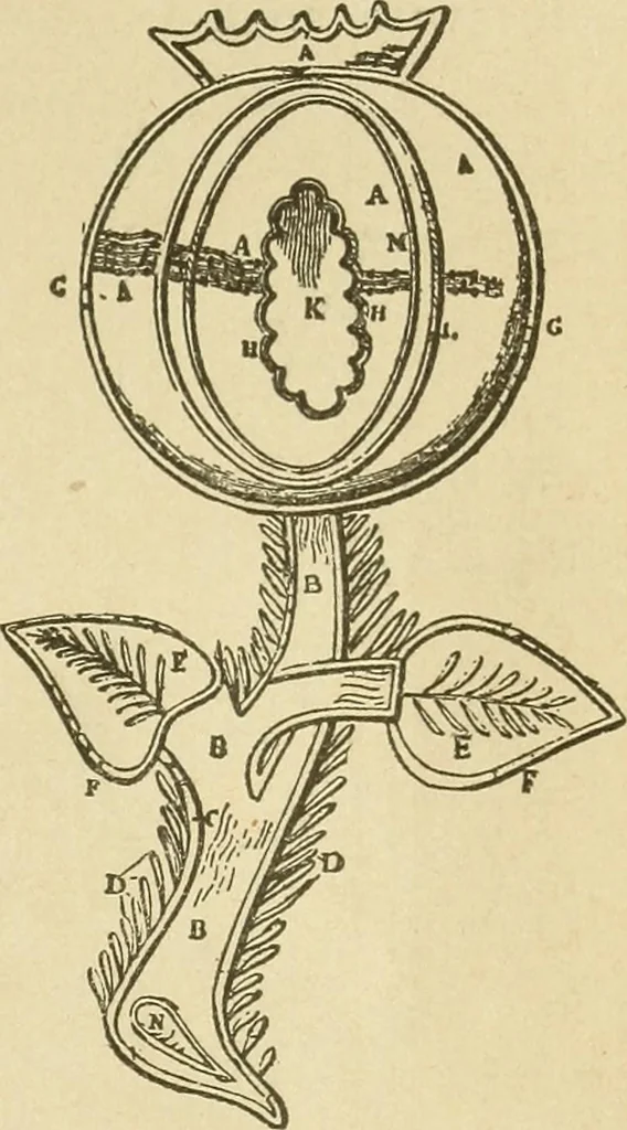An illustration from Fancy work for pleasure and profit, 1905, leaf 151
