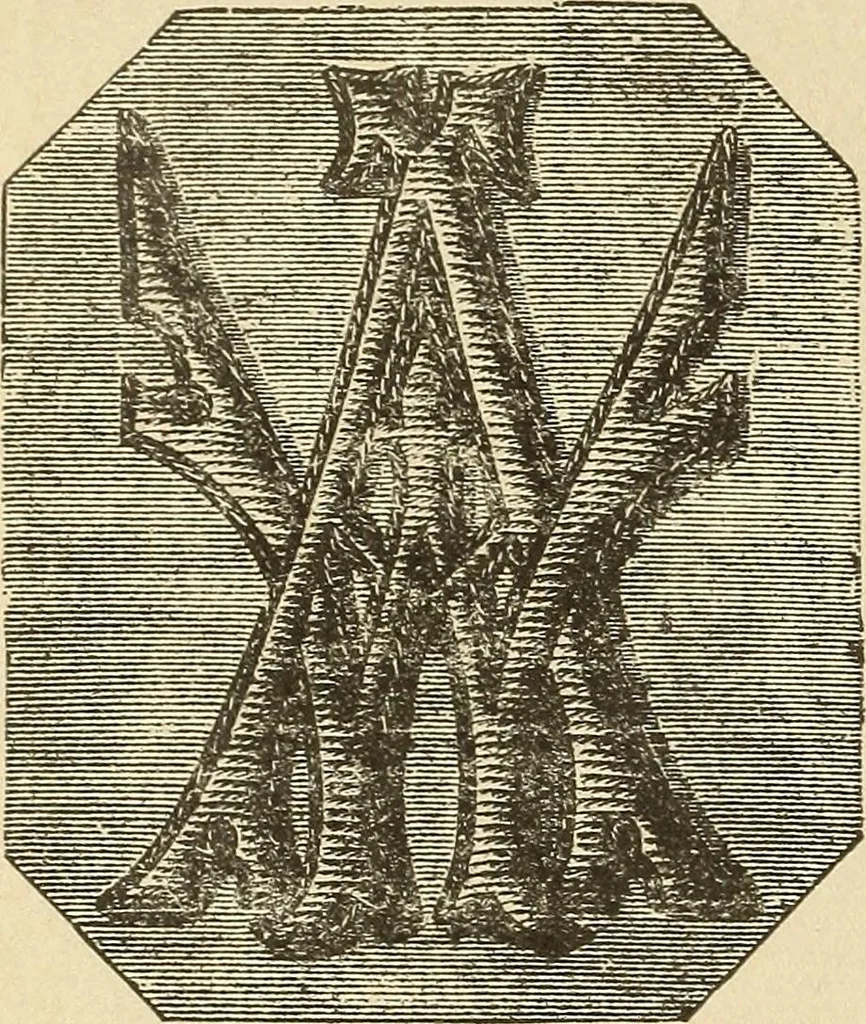 An illustration from Fancy work for pleasure and profit, 1905, leaf 156