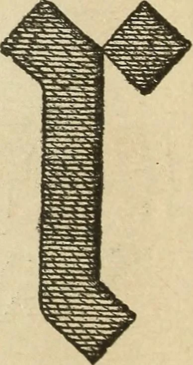 An illustration from Fancy work for pleasure and profit, 1905, leaf 156