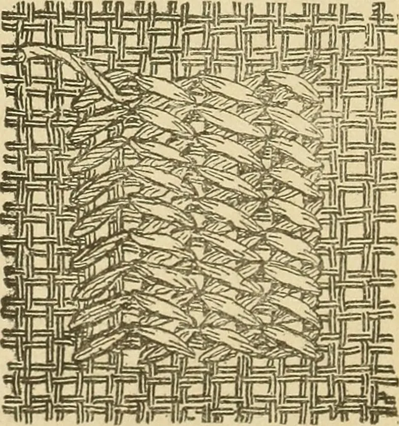 An illustration from Fancy work for pleasure and profit, 1905, leaf 167