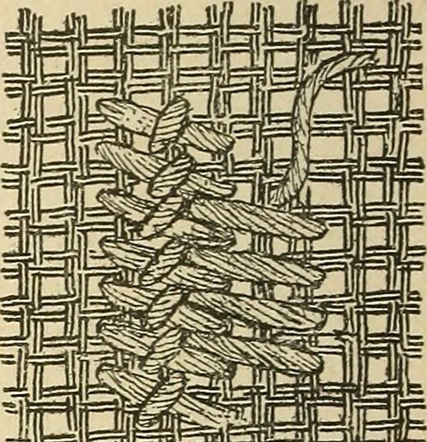 An illustration from Fancy work for pleasure and profit, 1905, leaf 168