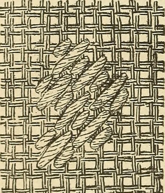 An illustration from Fancy work for pleasure and profit, 1905, leaf 168