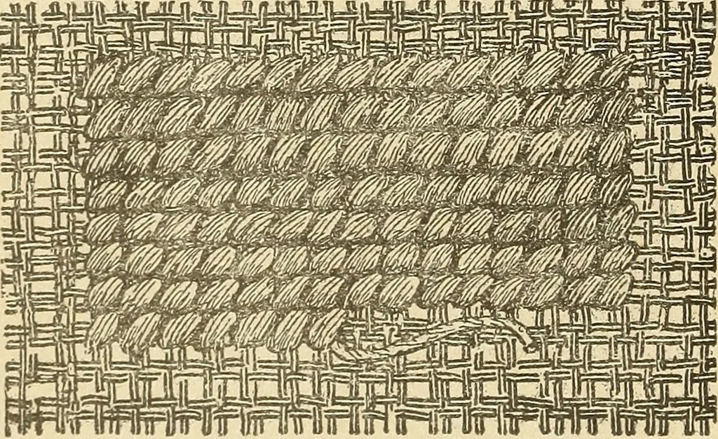 An illustration from Fancy work for pleasure and profit, 1905, leaf 170