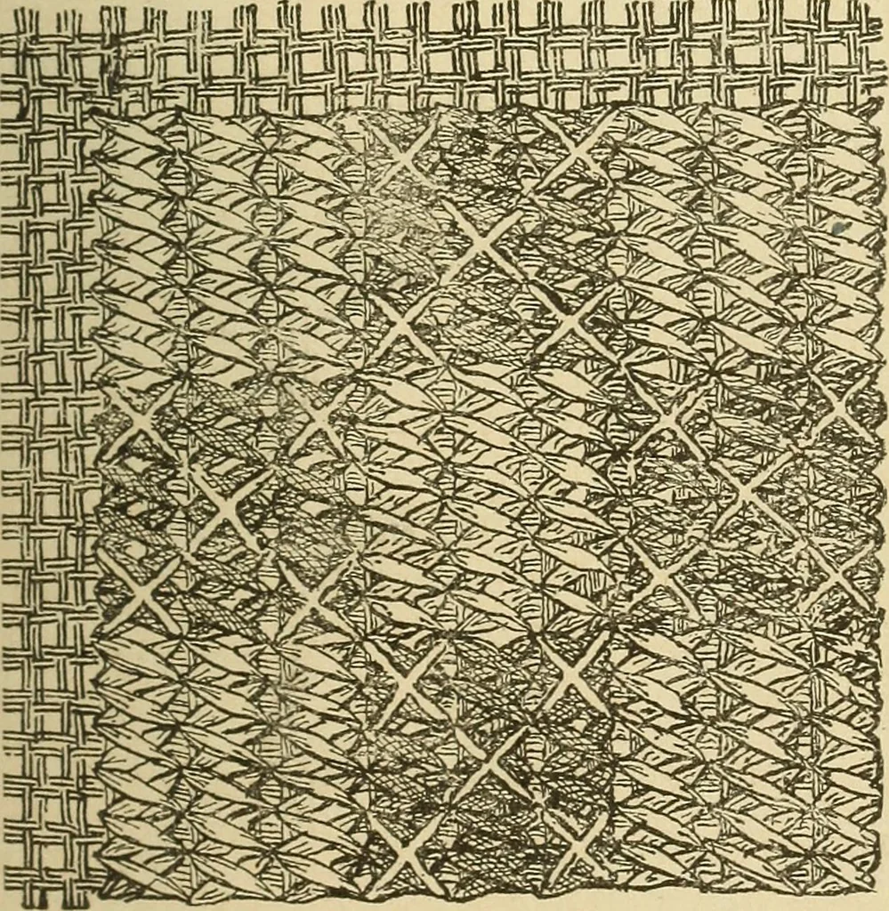 An illustration from Fancy work for pleasure and profit, 1905, leaf 171