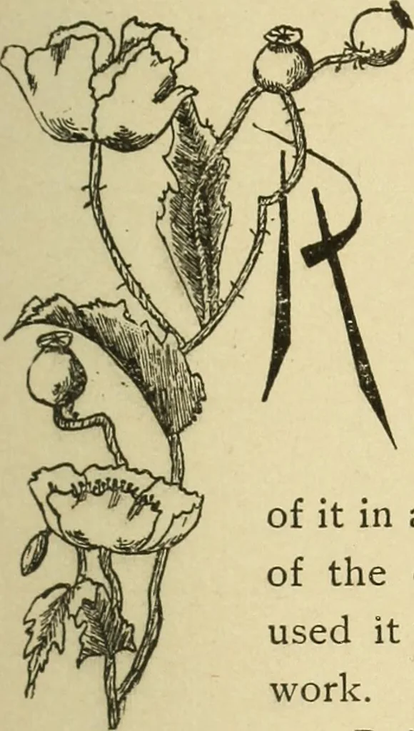 An illustration from Fancy work for pleasure and profit, 1905, leaf 175