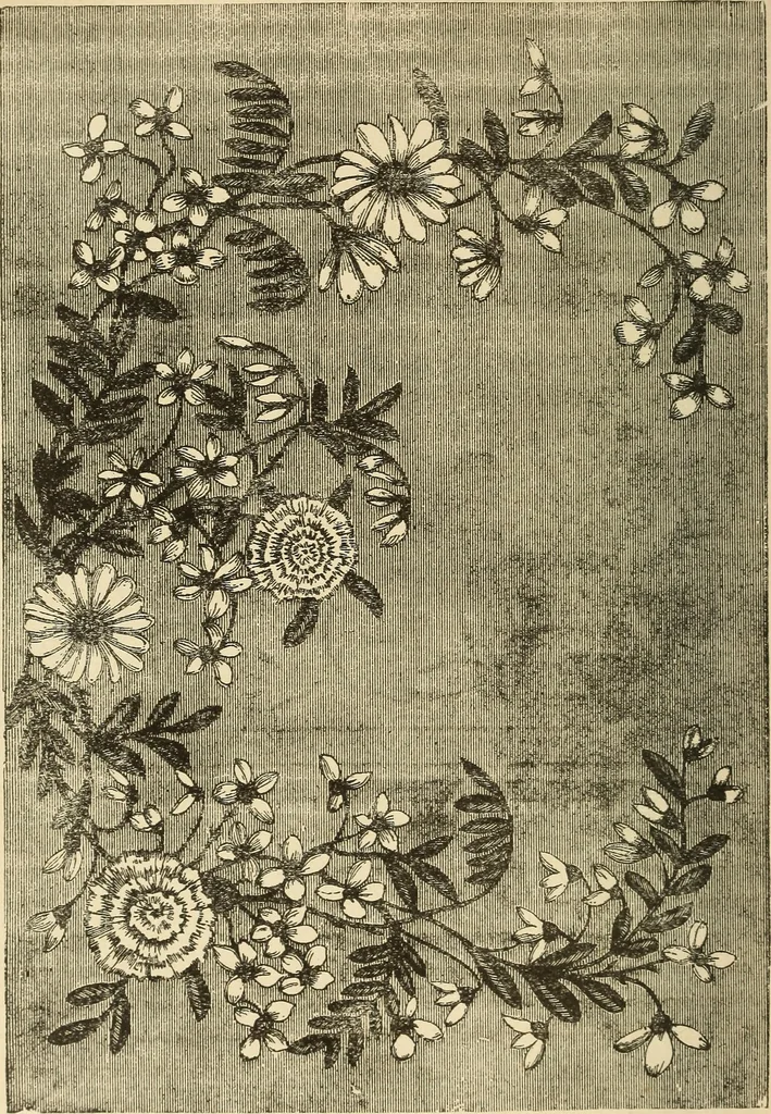 An illustration from Fancy work for pleasure and profit, 1905, leaf 176