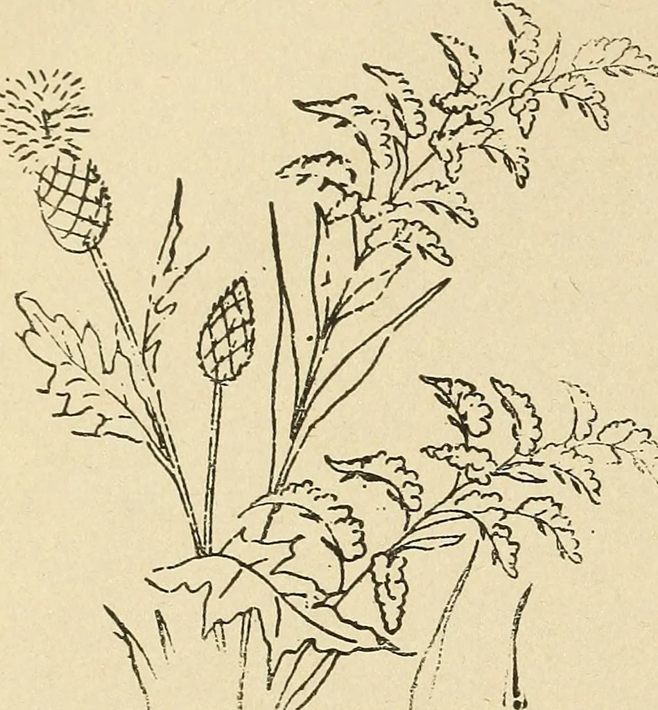 An illustration from Fancy work for pleasure and profit, 1905, leaf 192