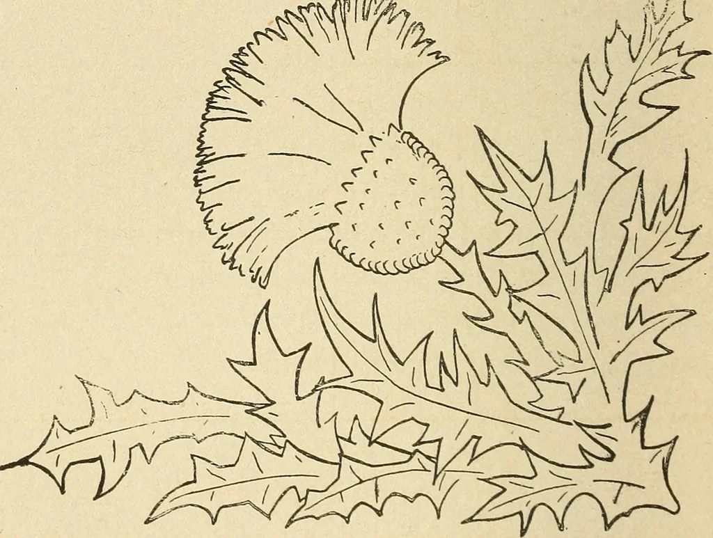 An illustration from Fancy work for pleasure and profit, 1905, leaf 192