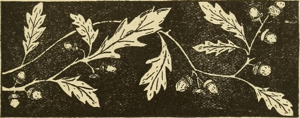 An illustration from Fancy work for pleasure and profit, 1905, leaf 199