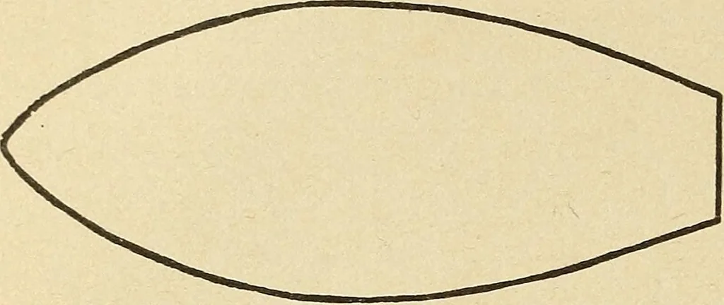 An illustration from Fancy work for pleasure and profit, 1905, leaf 206