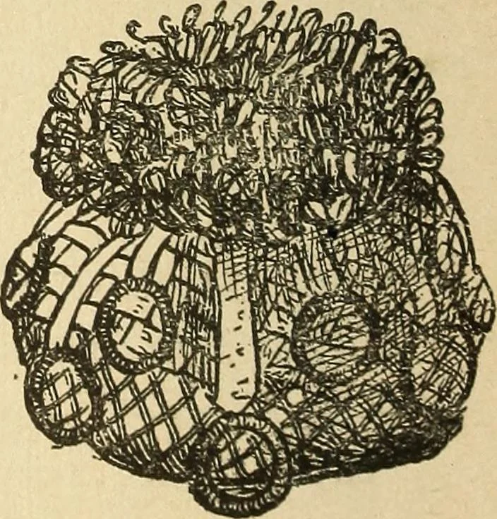 An illustration from Fancy work for pleasure and profit, 1905, leaf 208