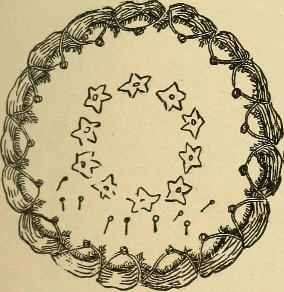 An illustration from Fancy work for pleasure and profit, 1905, leaf 209