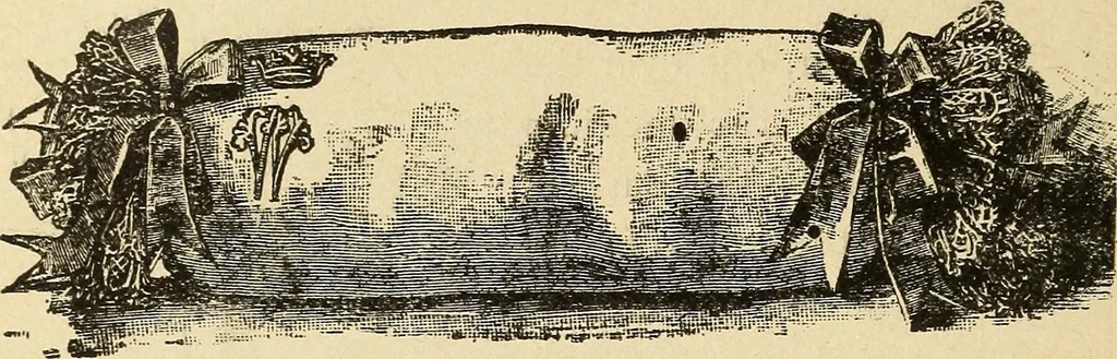 An illustration from Fancy work for pleasure and profit, 1905, leaf 212