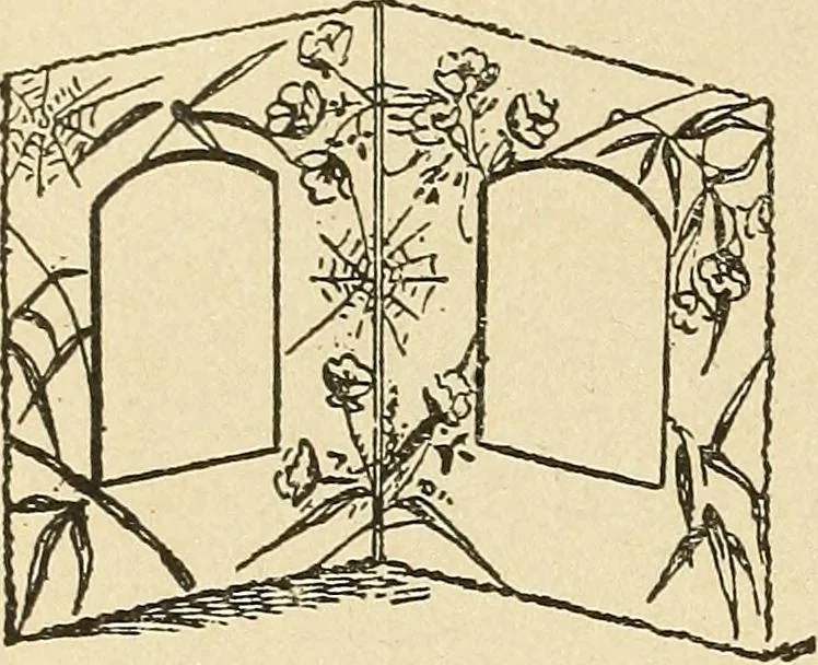 An illustration from Fancy work for pleasure and profit, 1905, leaf 214