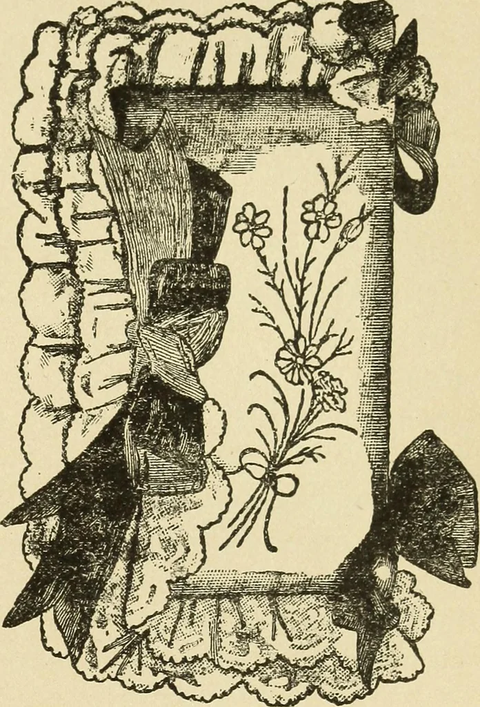An illustration from Fancy work for pleasure and profit, 1905, leaf 215