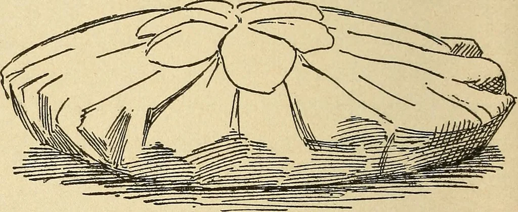 An illustration from Fancy work for pleasure and profit, 1905, leaf 216