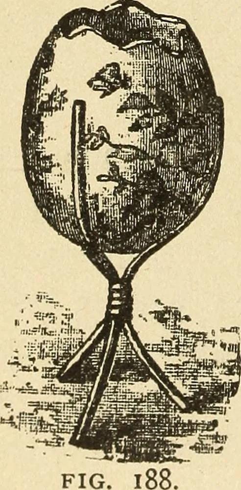 An illustration from Fancy work for pleasure and profit, 1905, leaf 216