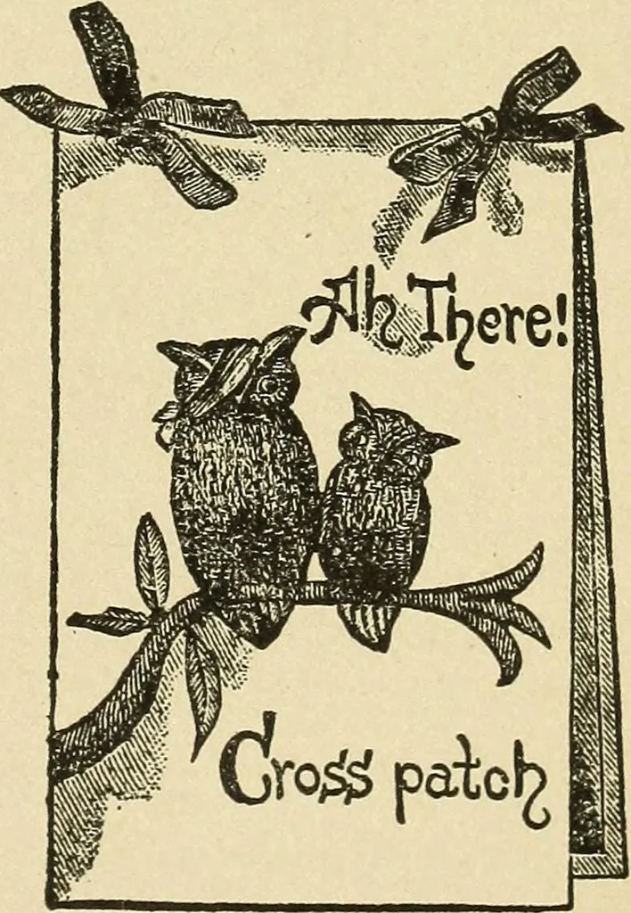 An illustration from Fancy work for pleasure and profit, 1905, leaf 225