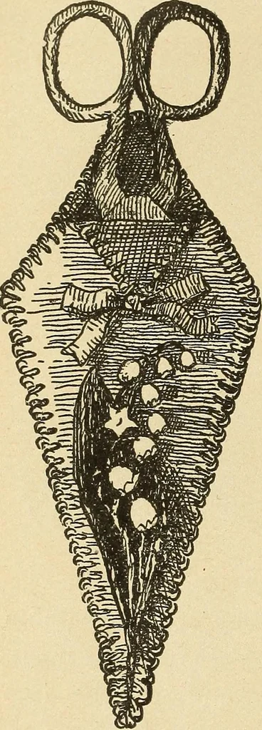 An illustration from Fancy work for pleasure and profit, 1905, leaf 240