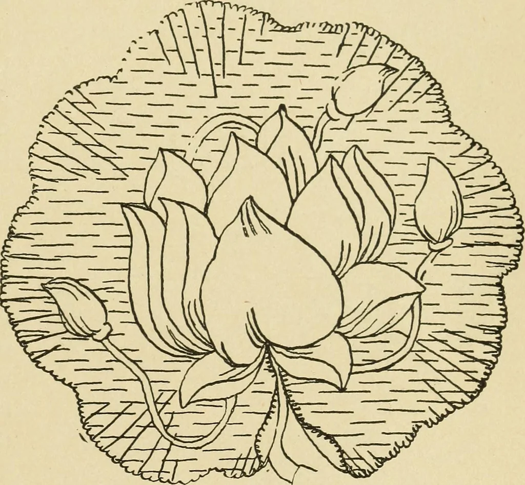 An illustration from Fancy work for pleasure and profit, 1905, leaf 243