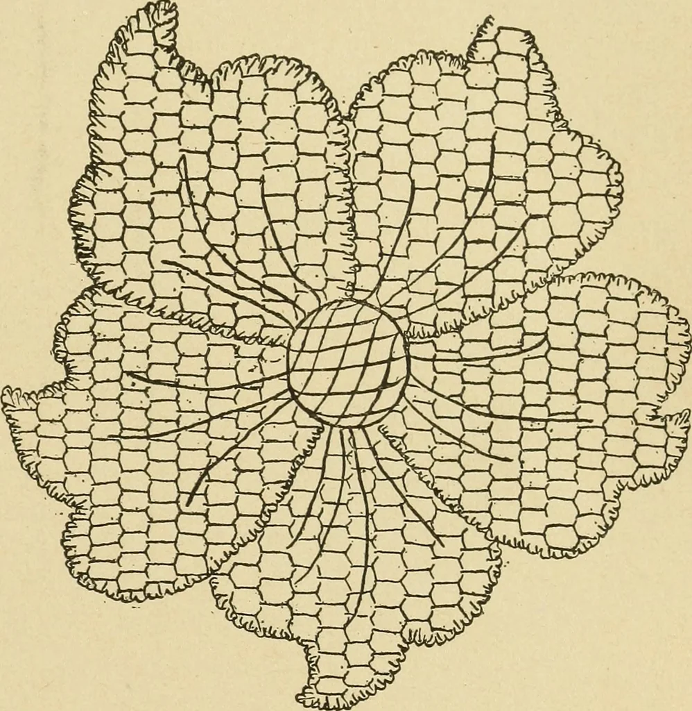 An illustration from Fancy work for pleasure and profit, 1905, leaf 245