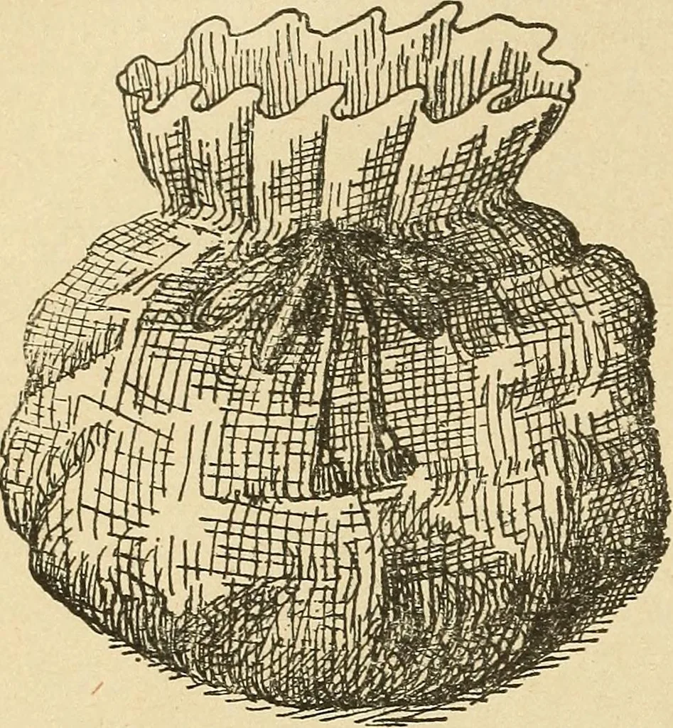 An illustration from Fancy work for pleasure and profit, 1905, leaf 248
