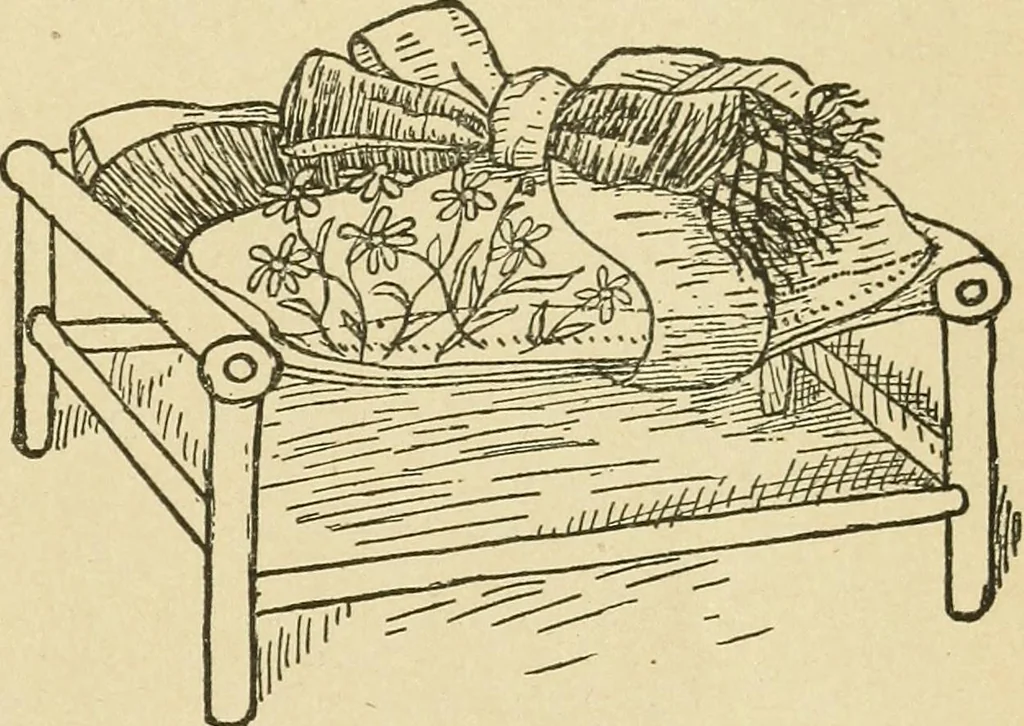 An illustration from Fancy work for pleasure and profit, 1905, leaf 249
