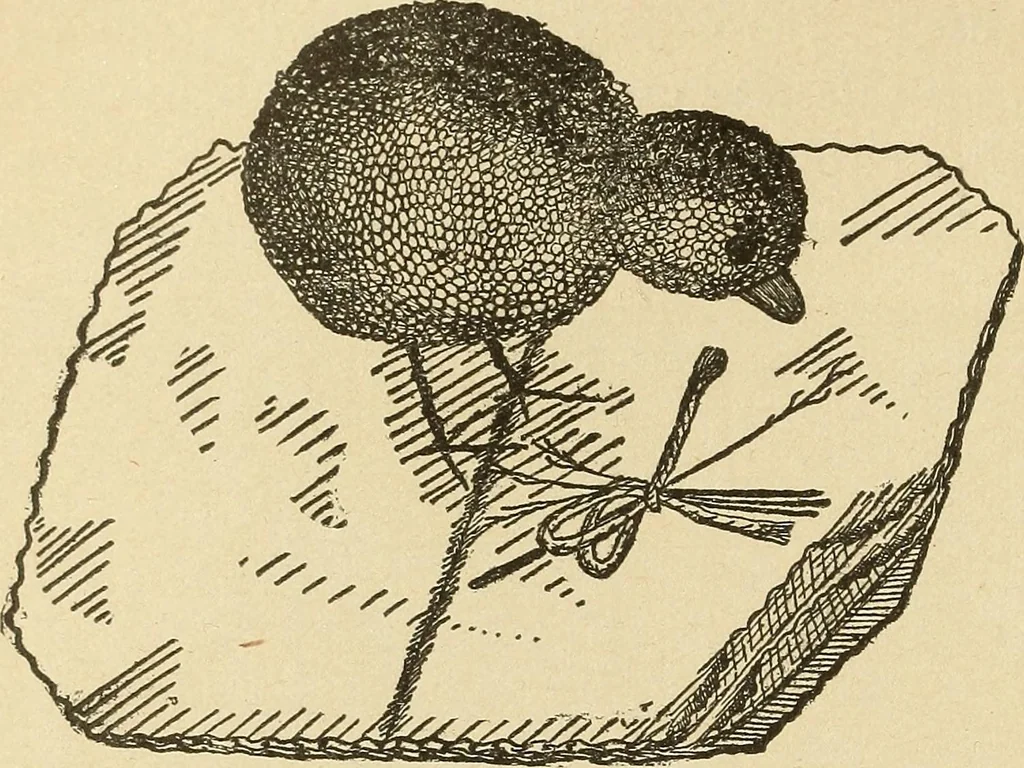 An illustration from Fancy work for pleasure and profit, 1905, leaf 256