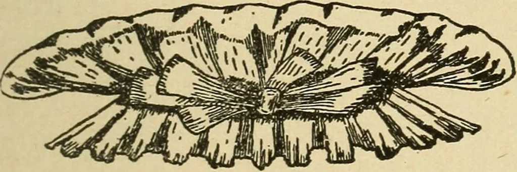 An illustration from Fancy work for pleasure and profit, 1905, leaf 257